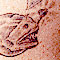 tatoo image